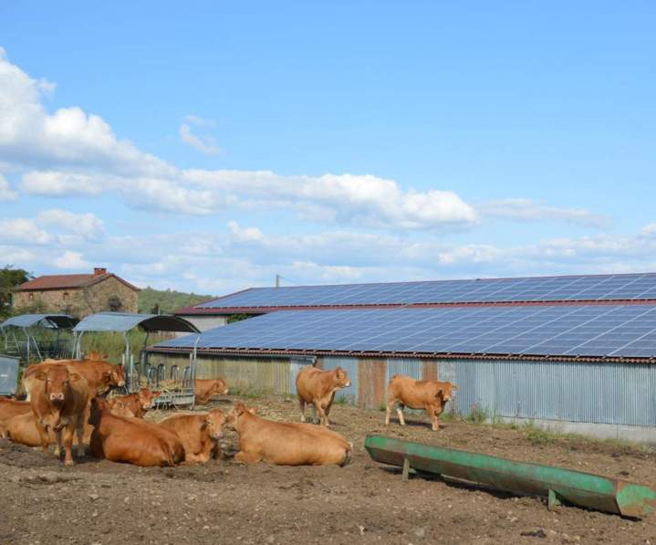 Énergie solaire agricole, hangars optimisés, autonomie, rendement, solution durable.